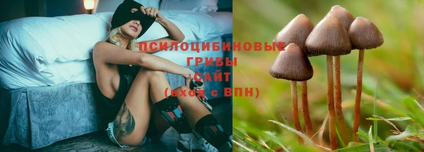 экстази Богданович