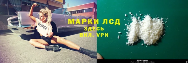 стаф Богородск