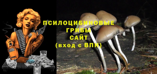 винт Бородино