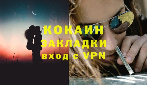 стаф Богородск